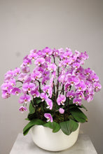 Load image into Gallery viewer, Bountiful Blessing