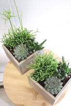 Load image into Gallery viewer, Succulent Planter