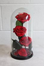 Load image into Gallery viewer, PRESERVED Red Rose