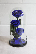 Load image into Gallery viewer, Blue Beauty