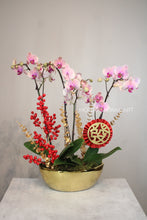 Load image into Gallery viewer, Congratulatory Orchid Planter for Grand Opening