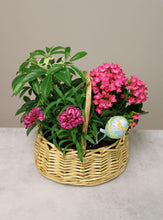 Load image into Gallery viewer, Spring Plant Basket