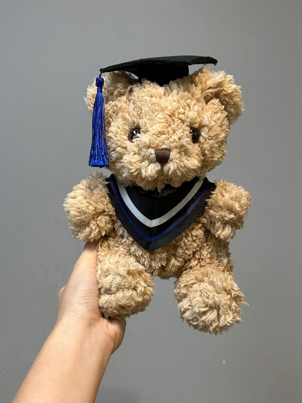 Add-Ons Graduation Bear