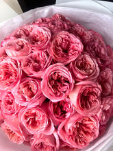 Load image into Gallery viewer, Pink Expression Garden Rose (VDay Only)
