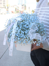 Load image into Gallery viewer, Baby&#39;s Breath
