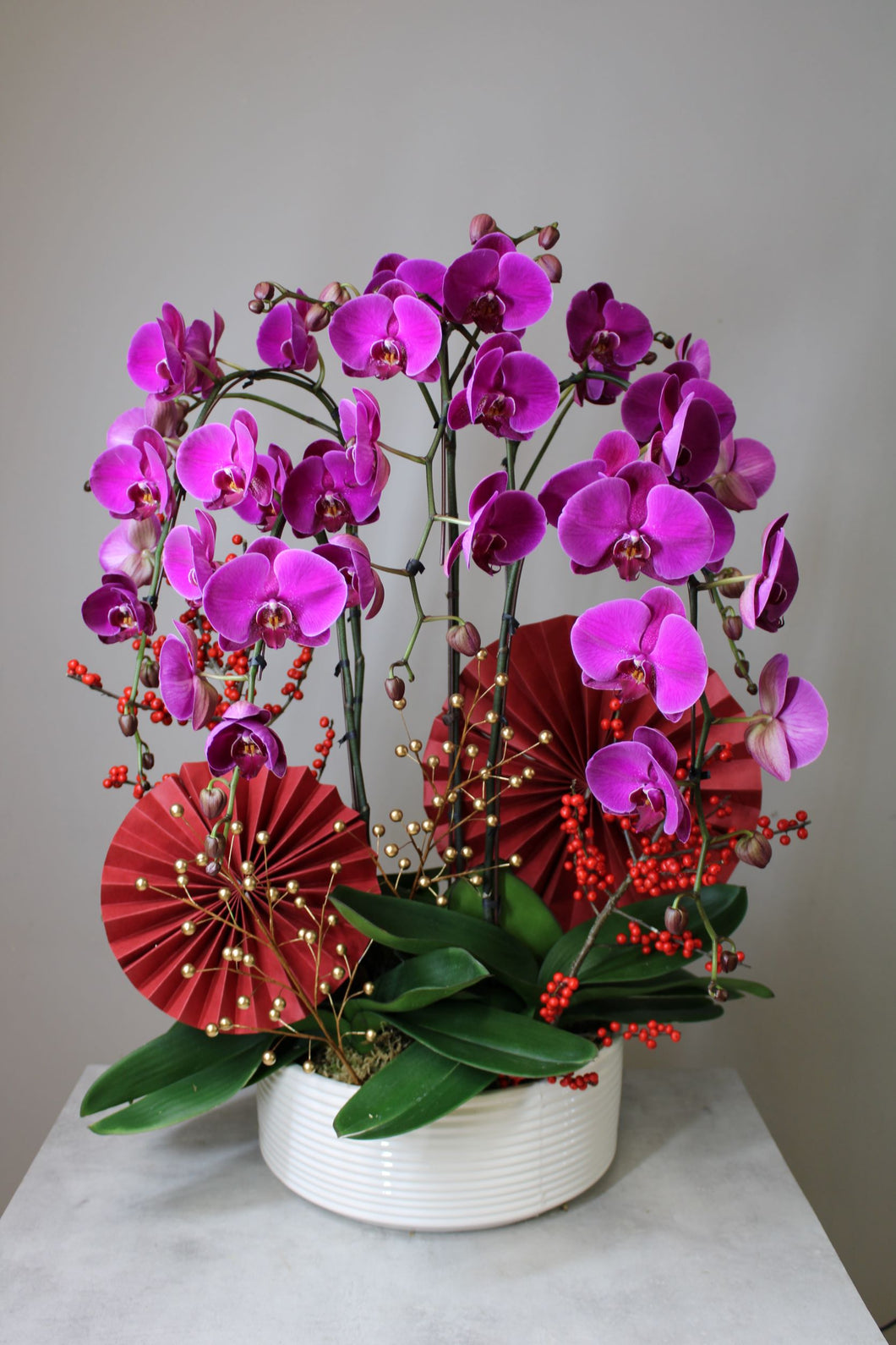 5 stems large orchid