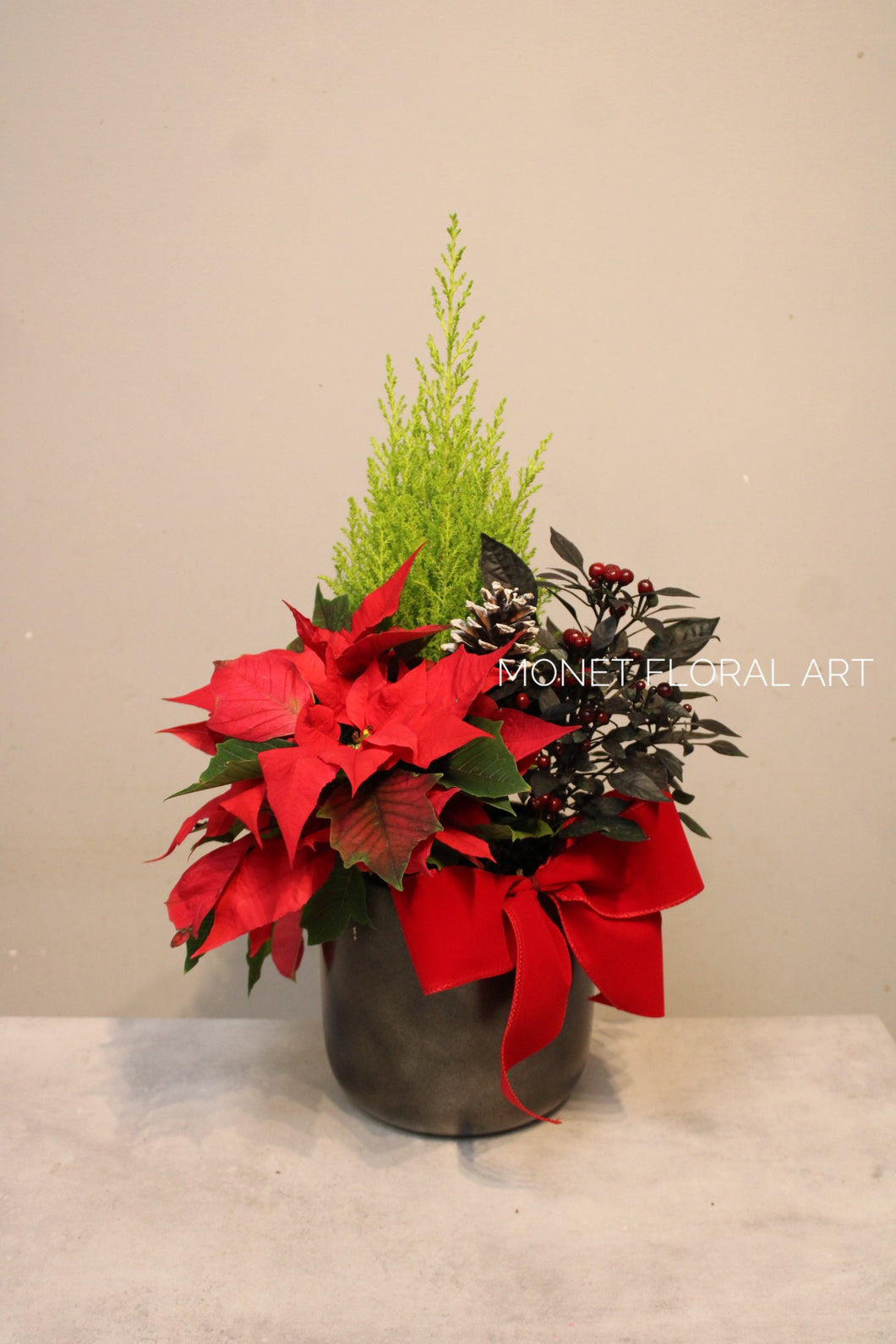 Poinsettia Planter