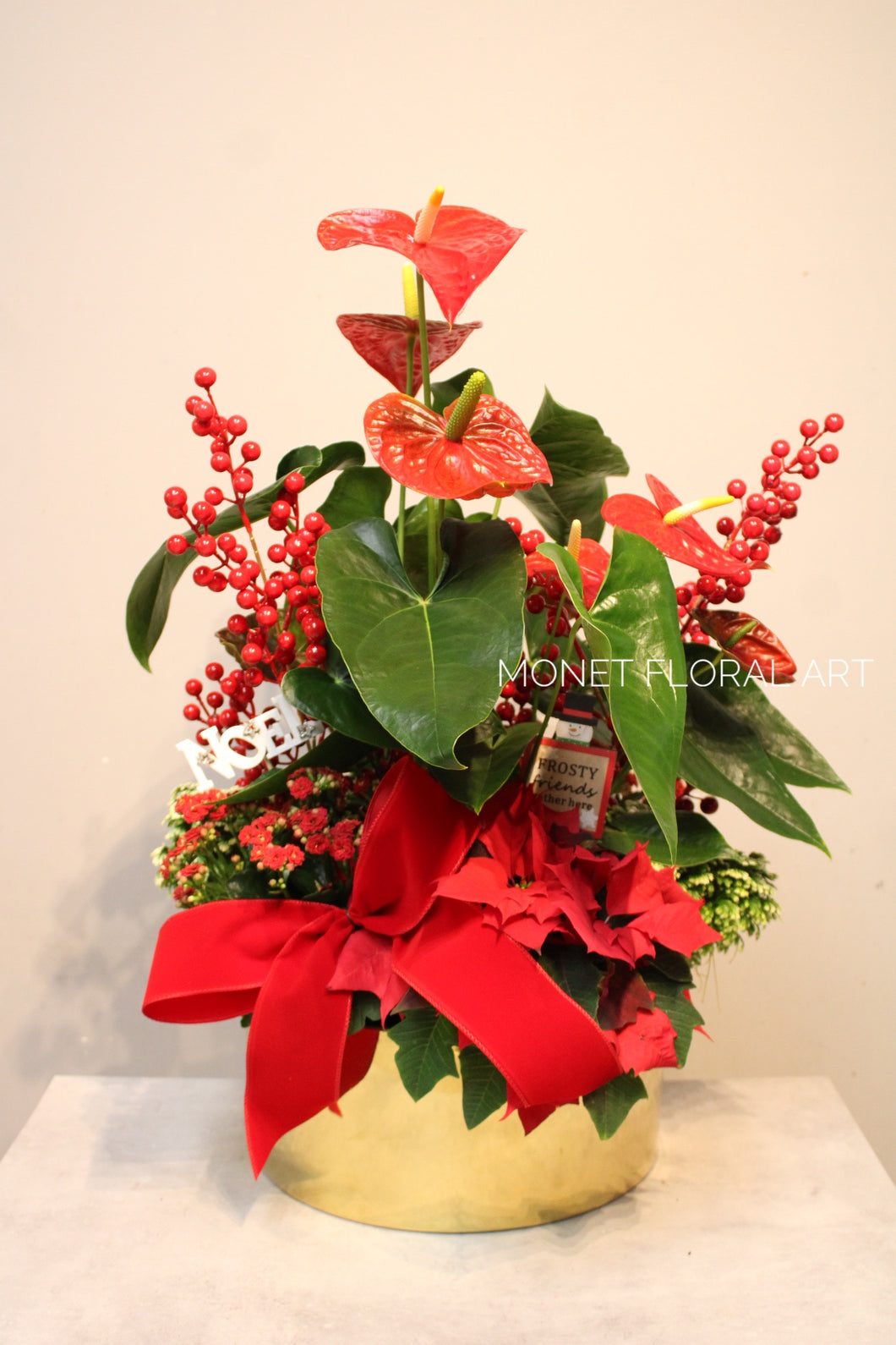 Holiday Anthurium Planter