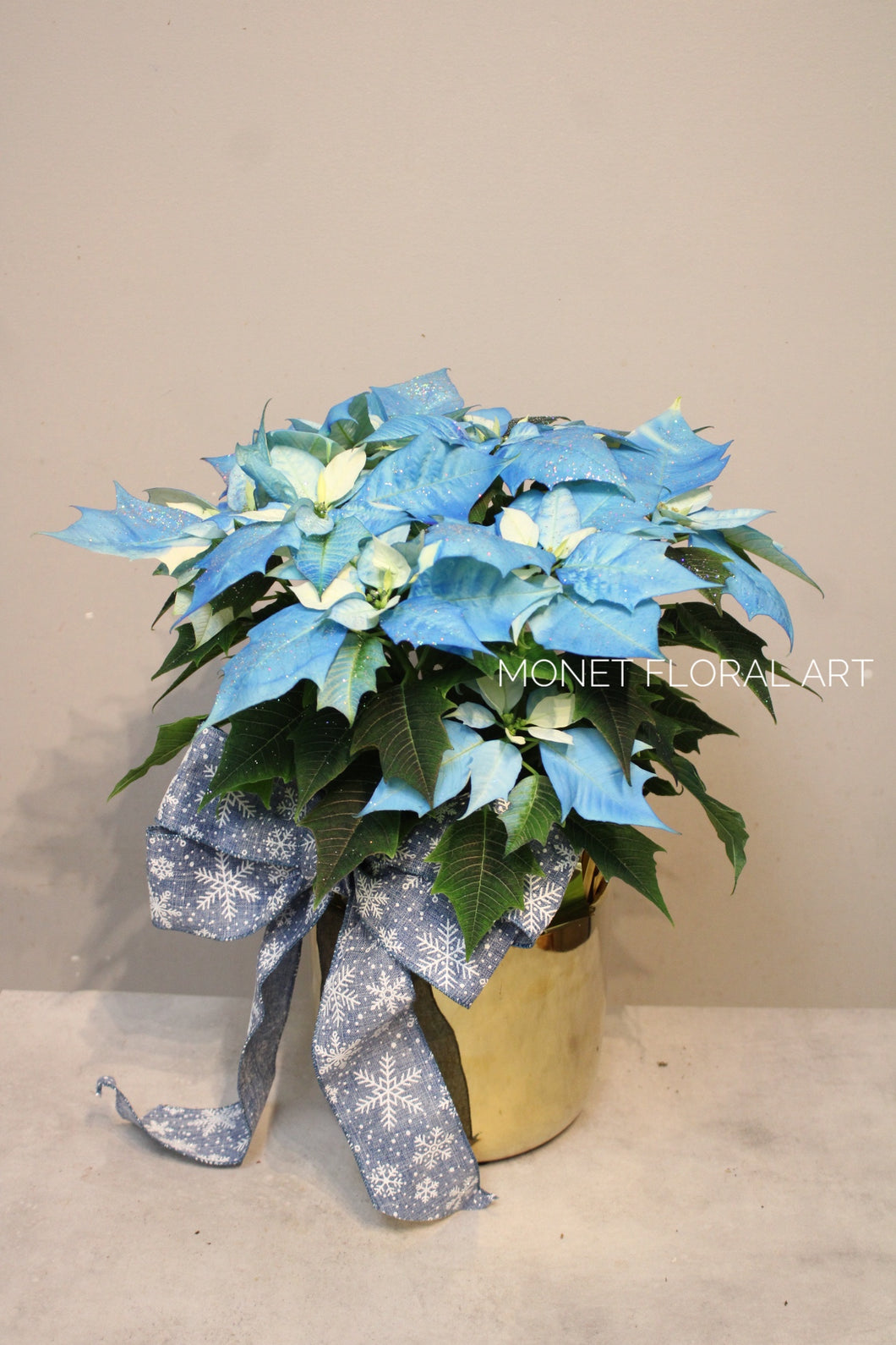 Unique Blue Poinsettia