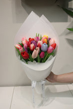 Load image into Gallery viewer, Holland Premium Tulip 7 Colours
