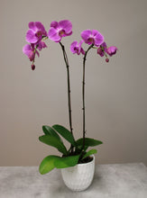 Load image into Gallery viewer, orchid arrangement vancouver
