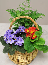 Load image into Gallery viewer, Spring Plant Basket
