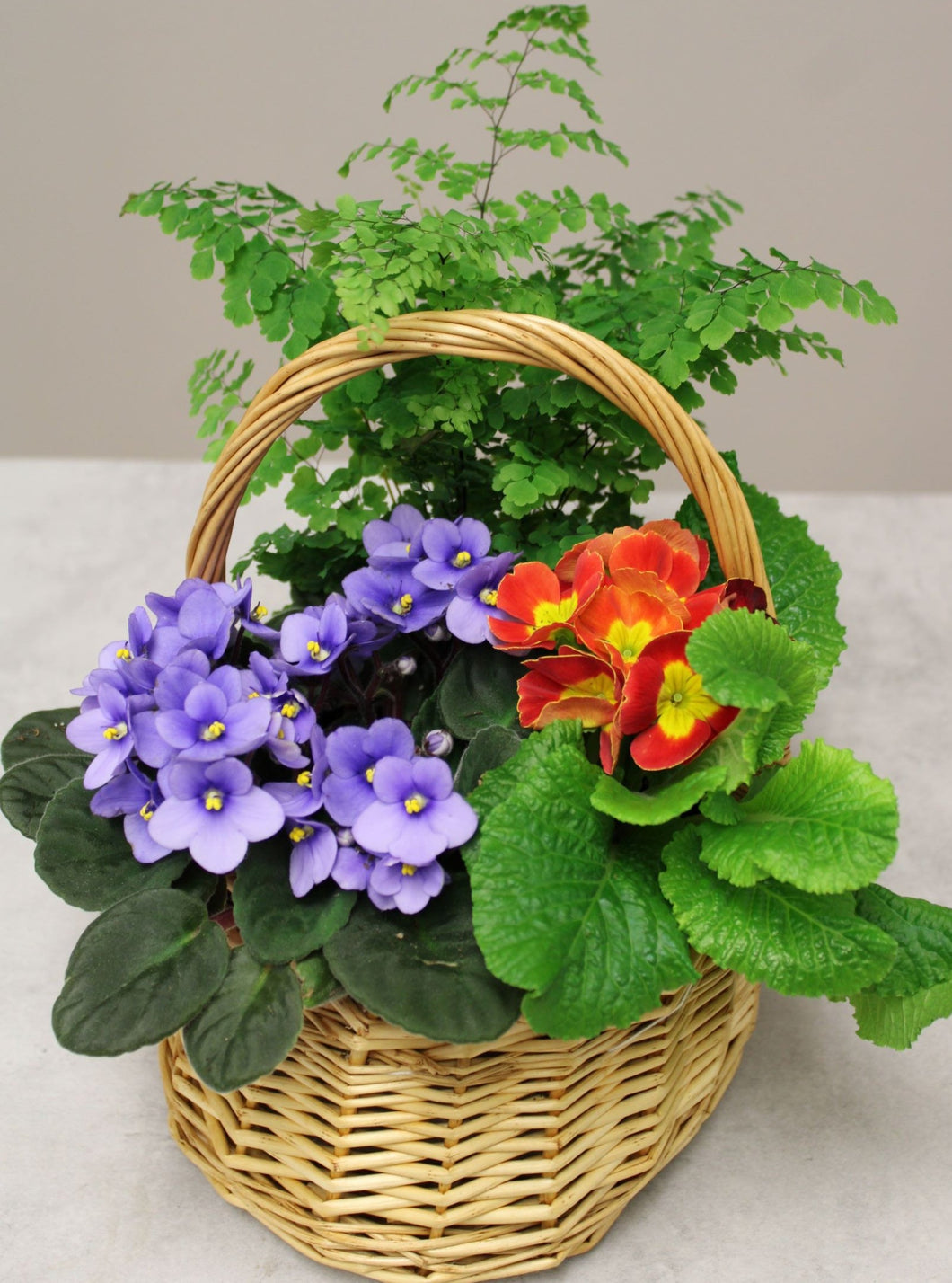 Spring Plant Basket