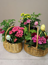 Load image into Gallery viewer, Spring Plant Basket
