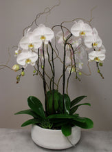Load image into Gallery viewer, Luxe Orchids Arrangement
